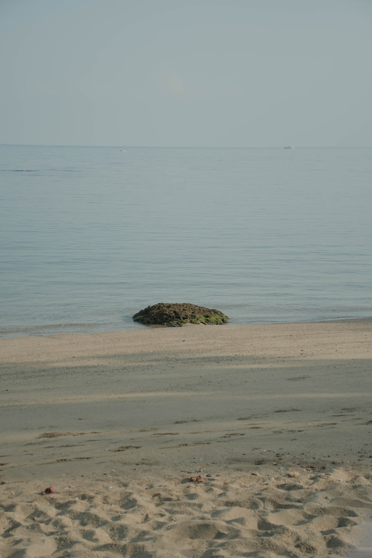 浪 𝘞𝘢𝘷𝘦𝘴