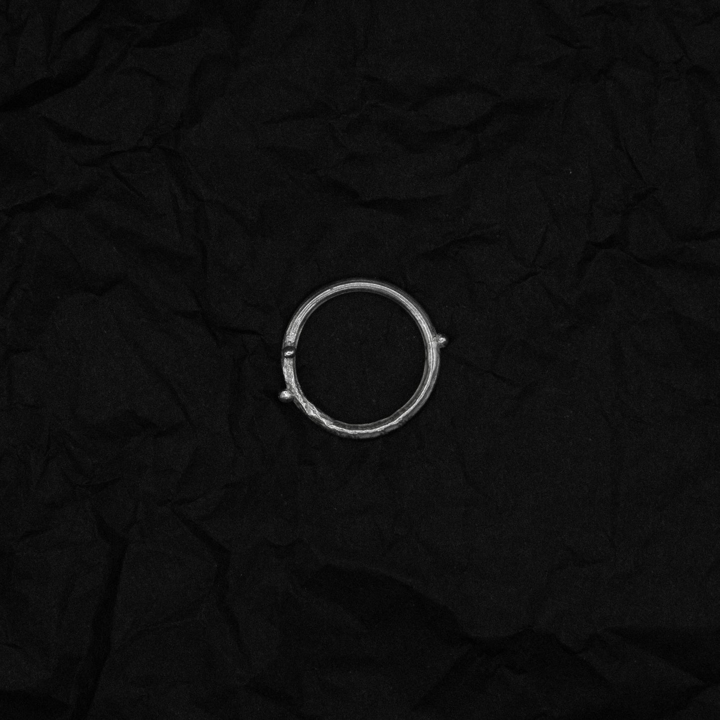 纍 𝘍𝘳𝘶𝘪𝘵𝘧𝘶𝘭｜《枝》戒指 - 純銀