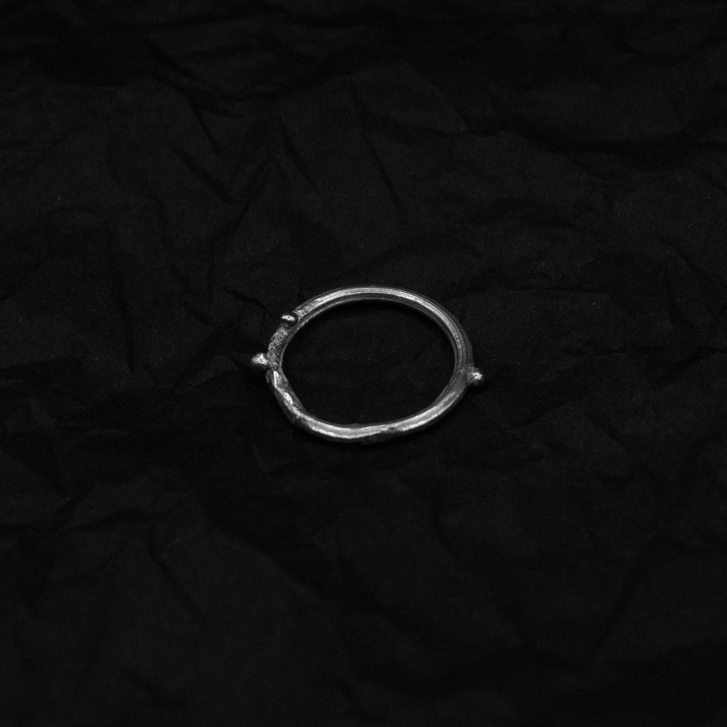 纍 𝘍𝘳𝘶𝘪𝘵𝘧𝘶𝘭｜《枝》戒指 - 純銀