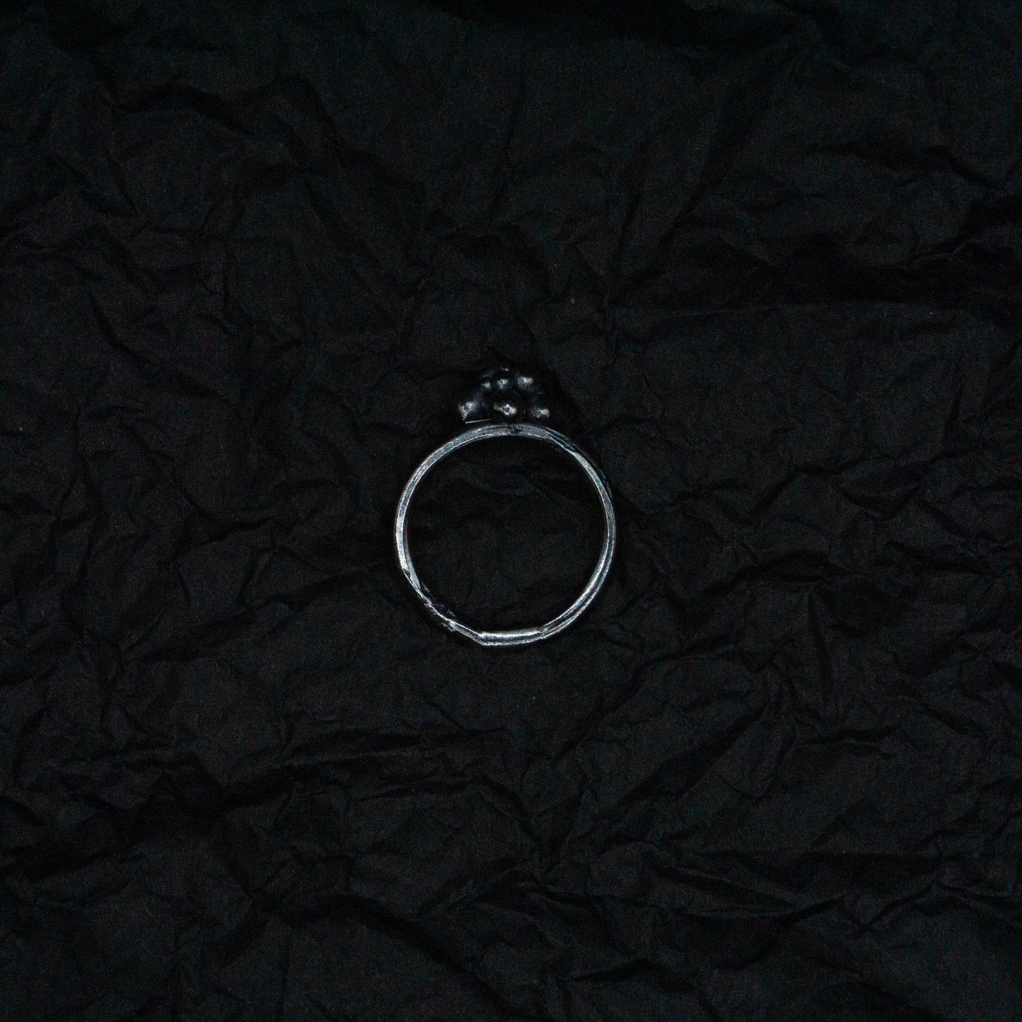 纍 𝘍𝘳𝘶𝘪𝘵𝘧𝘶𝘭｜《團》戒指 - 染黑